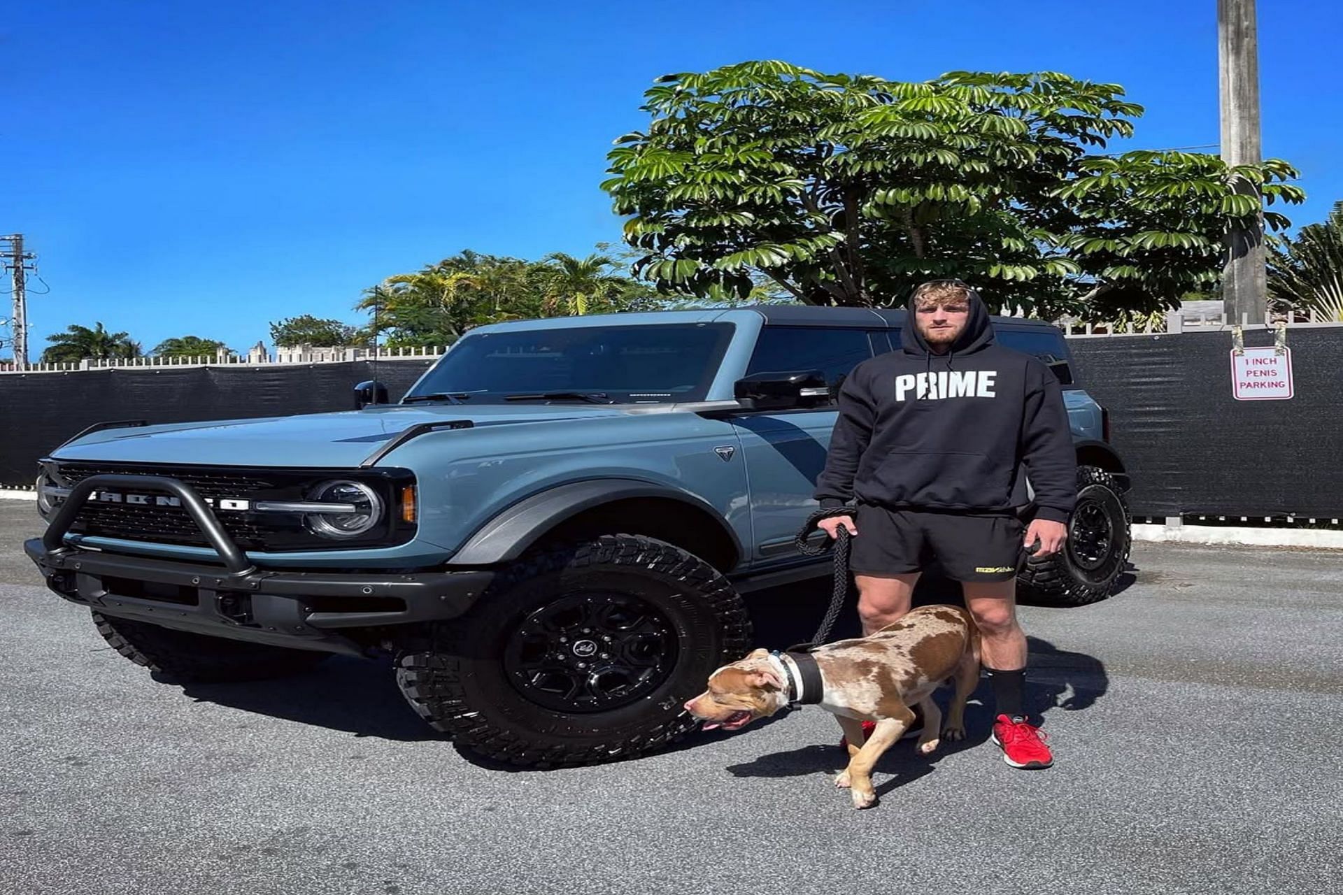 Logan Paul Cars